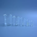5Pcs Glass Beaker Set 5/10/25/50/100ml Borosilicate Glass Laboratory Measuring Cup Glassware School Study Lab Educational Supply