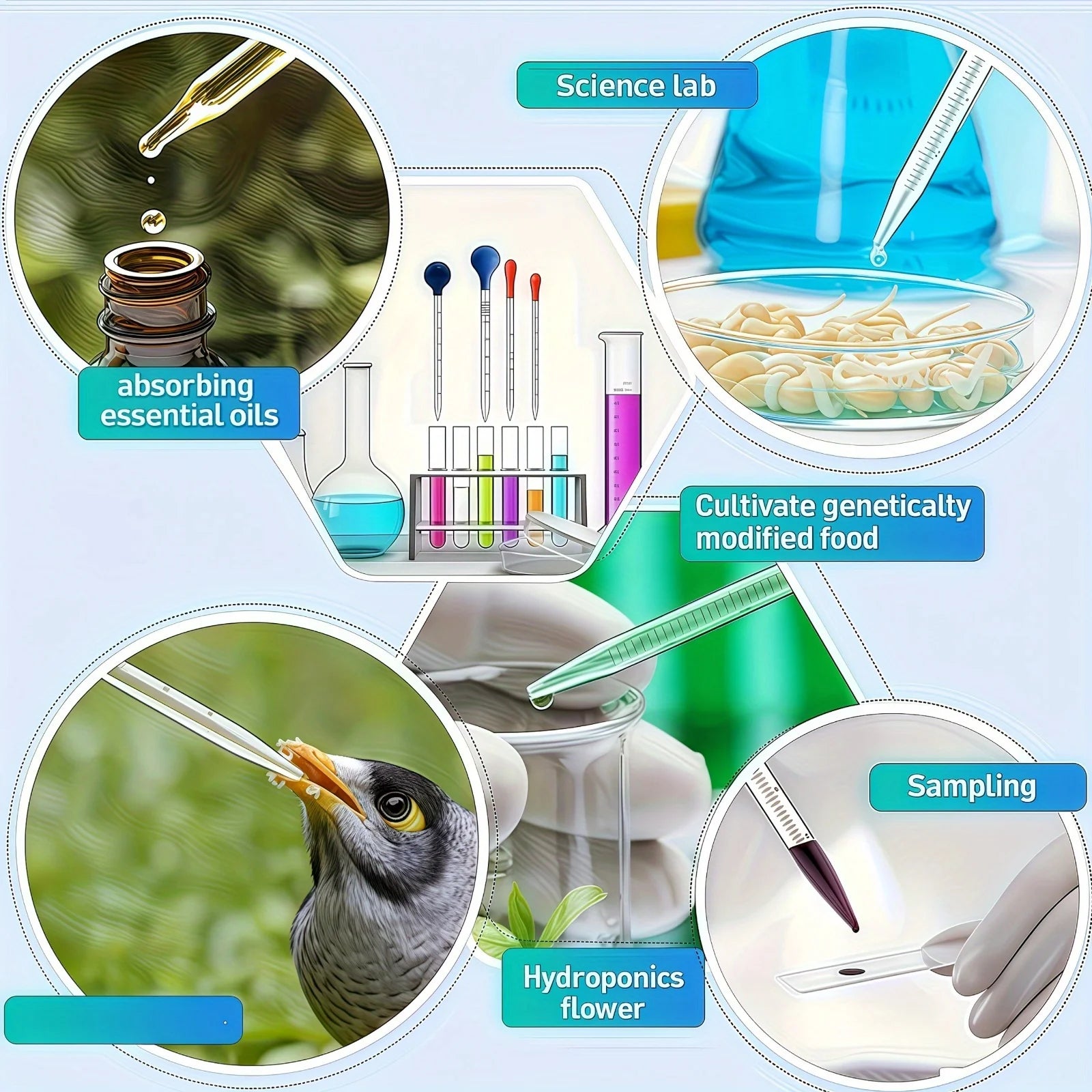 Glass pipette, glass dropper 3ML/10ML with glass stirring rod, cleaning brush 2PCS/4PCS